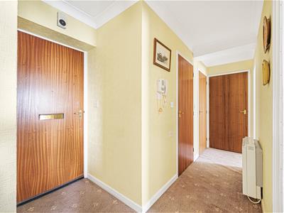 Picture 7